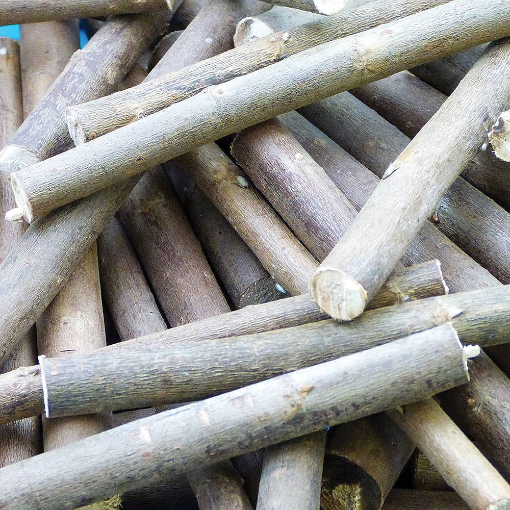 Natural Willow Branches (Per pack) Branch Length Approx 15cm, Approx 30 Per Pack (300g), Real Willow