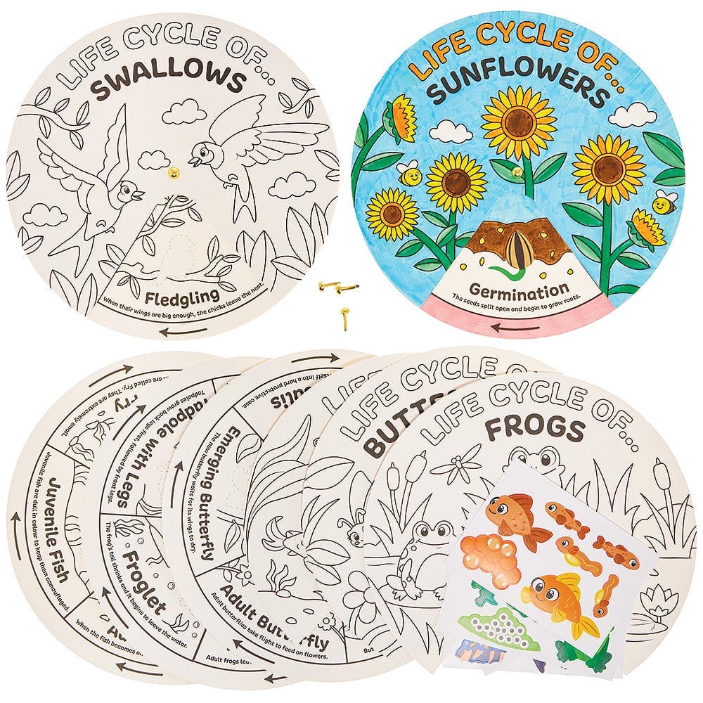 Life Cycle Colour-in Sticker Story Wheels (Pack of 5)
