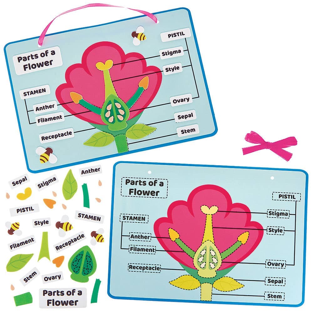 Flower Parts Biology Kits (Pack of 4)