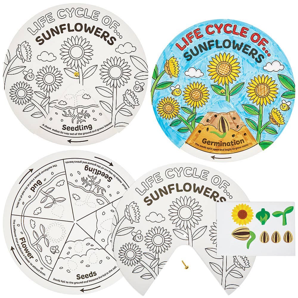 Sunflower Life Cycle Colour-in Sticker Wheels (Pack of 5)