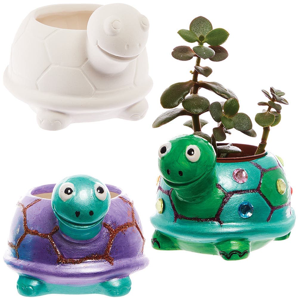 Tortoise Ceramic Flowerpots (Box of 2) Nature Craft Kits