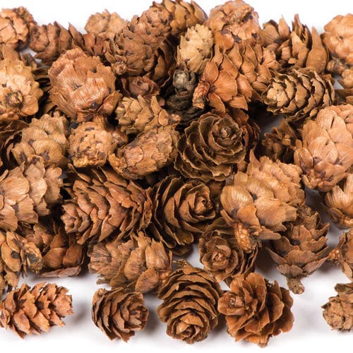 Larch Cones (Per Pack) Natural Crafts, Art & Craft Supplies, 250g (Approx. 200 Pieces)
