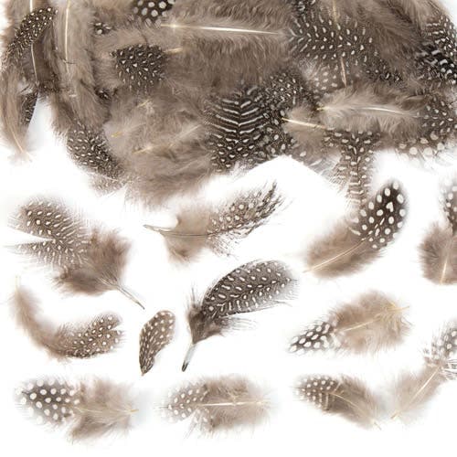 Natural Feathers (Pack of 80) Natural Craft Materials Assorted natural colours